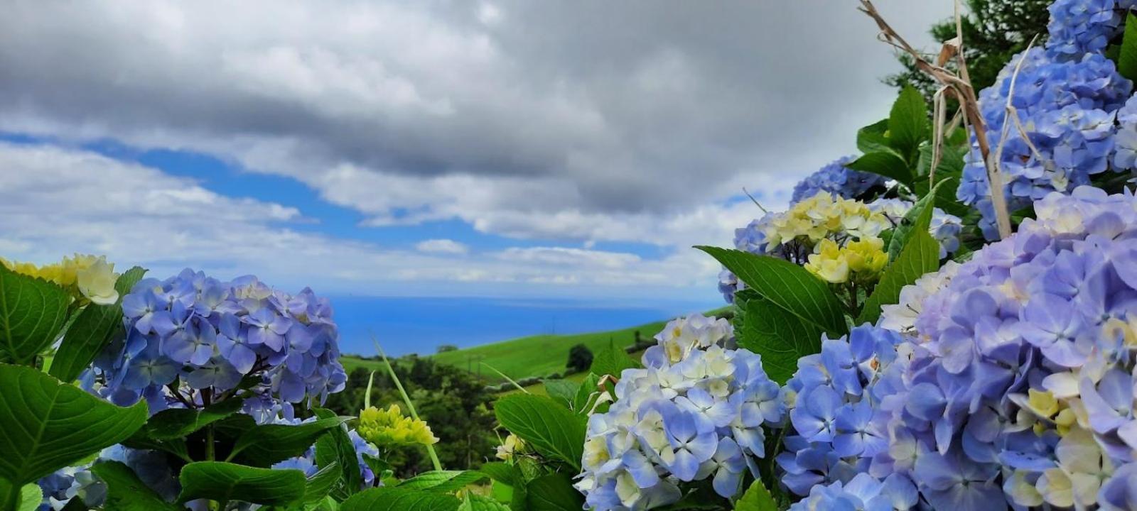 Quinta Da Espadana 波瓦桑 外观 照片